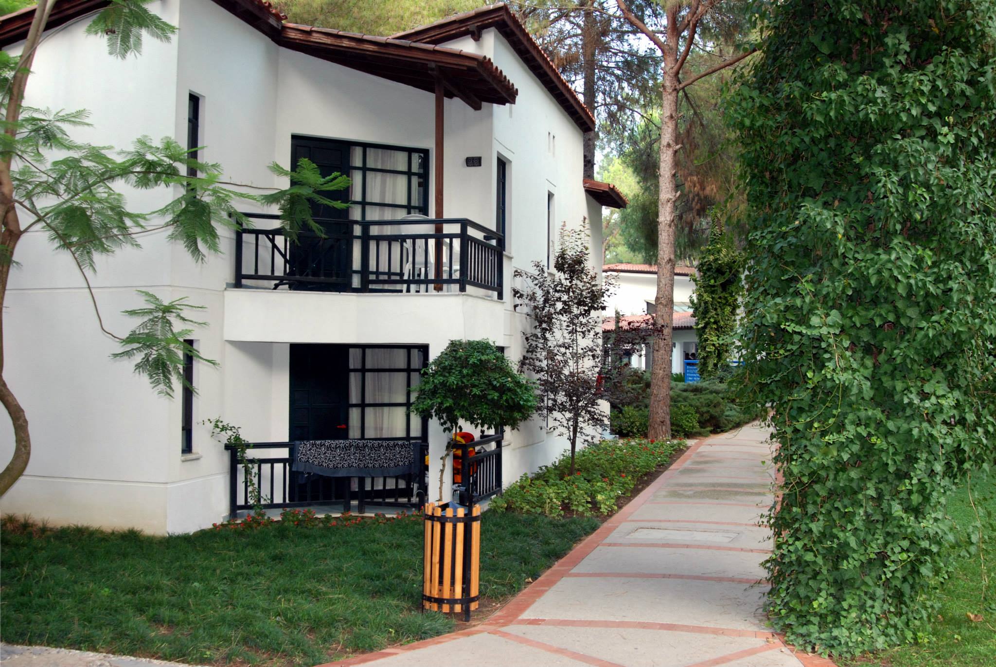 imagini hotel CLUB SALIMA